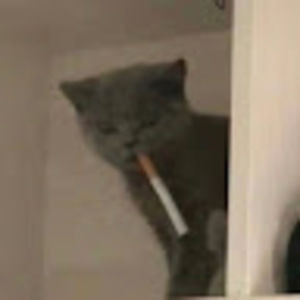 Meet your Posher, Jack